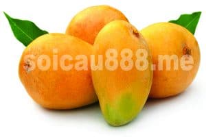 Nằm mơ thấy quả xoài đánh con gì chuẩn xác nhất