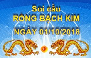Soi Cầu Rồng Bạch Kim 01/10 - Cầu Lô Nhiều Người Chơi Nhất Hôm Nay
