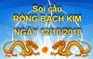soi cau rong bach kim 12-10-2018
