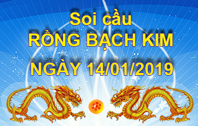 soi cau rong bach kim 14-01-2019