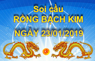 soi cau rong bach kim 23-1-2019